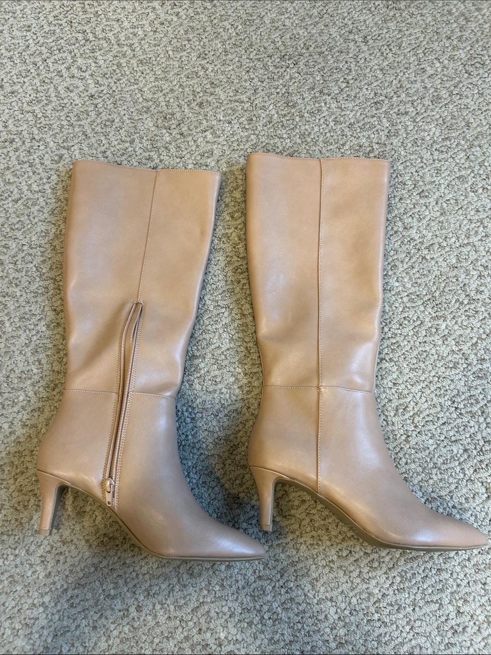 DV by Dolce Vita Tan Knee-High Pointed Toe Heeled Boots